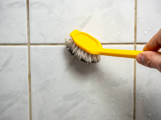 Best Certified Mold Removal  in East Palestine, OH